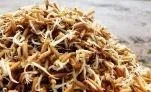 Ảnh có chứa ngoài trời, mặt đất, thực phẩm

Nội dung do AI tạo ra có thể không chính xác.