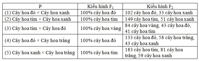A table with numbers and text

AI-generated content may be incorrect.